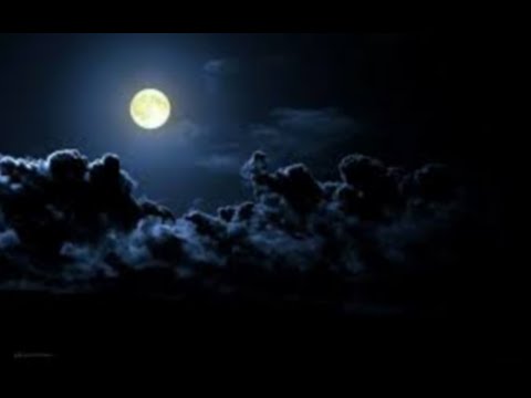 الفيلم الجديد 2021 HD Monster GODZILLA مترجم و بجودة عالية KING KONG Ape