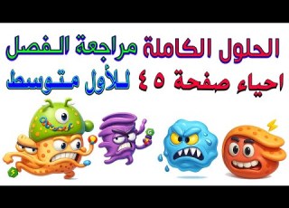  حل احياء اسئلة مراجعة الفصل الرابع صفحة 45 للصف الاول متوسط
