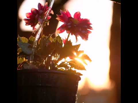 أروع موسيقى تركية صامتة على الإطلاق