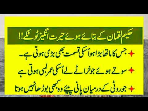 حیرت انگیز دیسی ٹوٹکے دیسی نسخے گھریلو ٹوٹکے