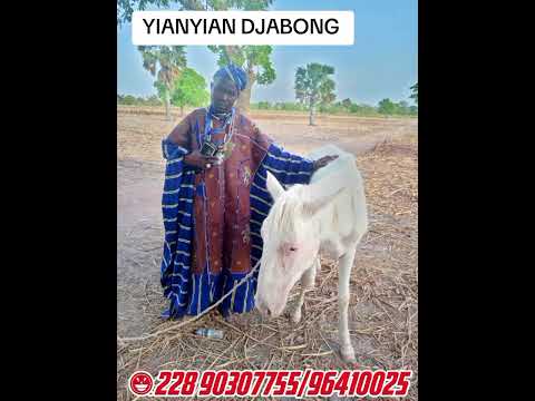 YIANYIAN DJABONG Mapopombonawameshasyalaladjremix Hiphopindiadancerealtyshowand Duet Dj