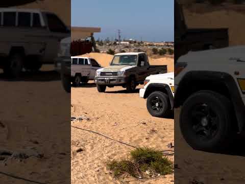 سواركه ولينا في قمه المجد رايات777واقطع شمال سيناء الشيخ زويد