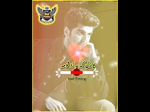 Pashto Poetry پشتو شعر U Zal Ka Pa Zad Shoma No Nom Bade Wanhlma Pashto Sher Sad Poetry Pashto Poetry پشتو شعر U Zal Ka Pa Zad Shoma No Nom Bade Wanhlma Pashto Sher Sad Poetry