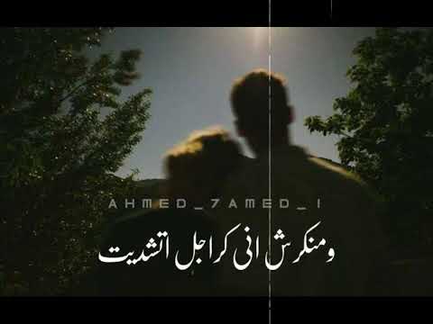 حالات واتس 2022 رومانسي محمود العسيلي انتي حلوة