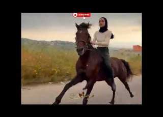  ماشاءالله جرأة كبيرة من الفارسة بدون سرج مقطع رائع جدا