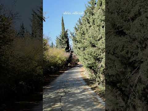 عفرين اغاني عفرين طبيعة عفرين