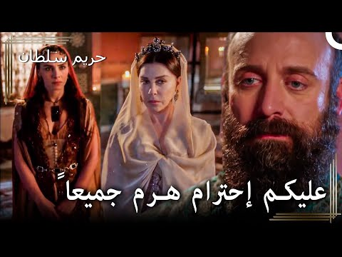 شجار ماهيدفران وهرم 50 سليمان يحذر الجميع أمام هرم حريم السلطان
