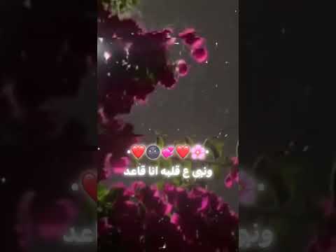 قلب البعبع من جوا مصطفى الجن