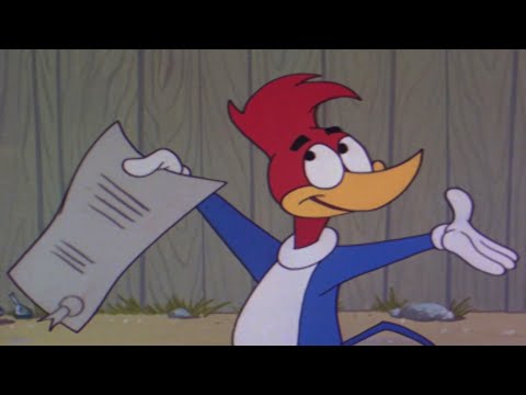 Read The Fine Print 3 Hours Of Classic Episodes Of Woody Woodpecker Read The Fine Print 3 Hours Of Classic Episodes Of Woody Woodpecker