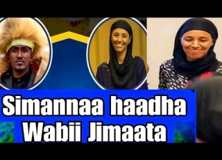 Sirnaa Simannaa Hadhaa Wobii Amerika Minsootatti Hadhaa Wobii Irraa Hin Hafinaa