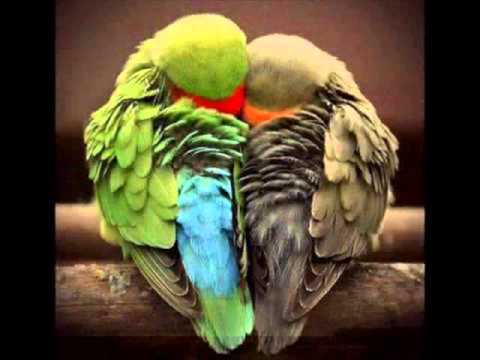 هشام ميرغني انت وانا