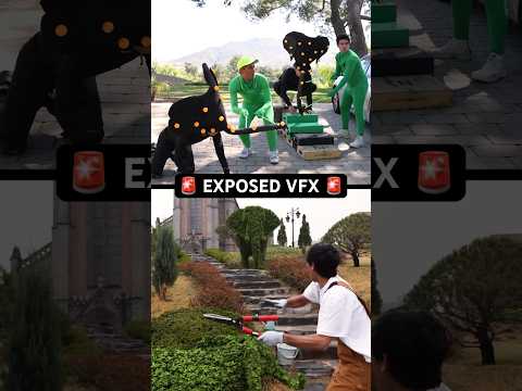 EXPOSING Zach King S Illusion Behindthescenes Motioncapture Filmmaking Elephant EXPOSING Zach King S Illusion Behindthescenes Motioncapture Filmmaking Elephant