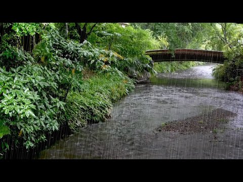 Flusswasser Und Erfrischender Regen Zauberhafte Regengeräusche Die Sofort In Den Schlaf Wiegen