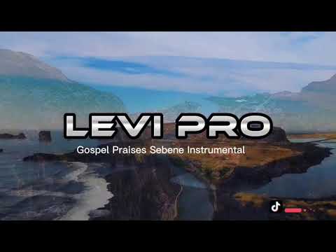 Non Stop GOSPEL PRAISES SEBEN INSTRUMENTAL