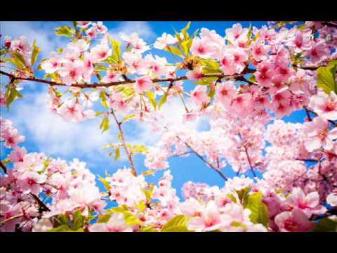 فيروز لا إنت حبيبي و لا ربينا سوا و مجموعة من أغاني الست فيروز