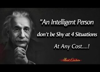 An Intelligent Person Don T Be Shy At 4 Situations Albert Einstein Quotes Library