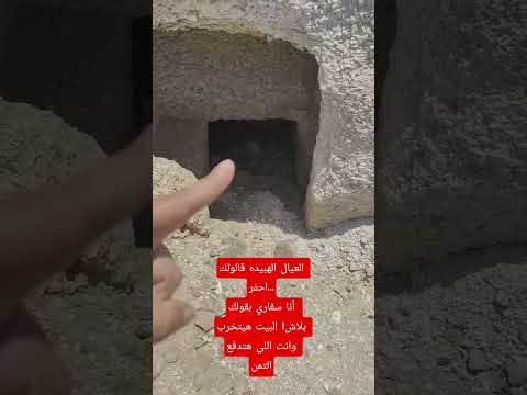 العيال الهبيده قالولك احفر أنا سفاري بقولك بلاش البيت هيتخرب وانت اللي هتدفع التمن Shorts