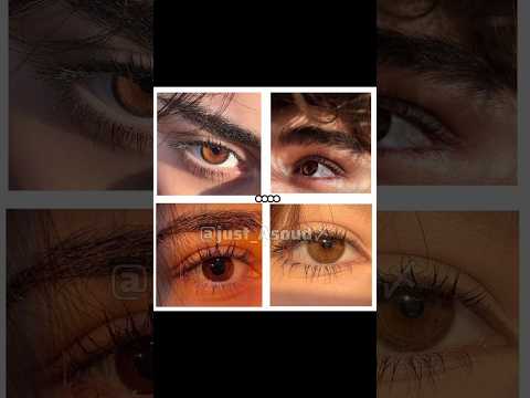 حبيت العسلي عيون العيون فـ أنت شـو لون عيونك حبيت العسلي عيون العيون فـ أنت شـو لون عيونك