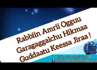  Rabbiin Amrii Wahii Yemmuu Garaggagalchuu Hîkmáà Guddaatu Keessa Jiraa