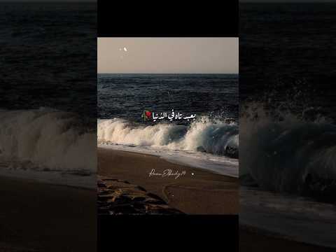 انشوده غريق رب رحماك بعبد تاه في الدنيا Reel بدون موسيقى فولو Trending اناشيد انشودة تصميمي