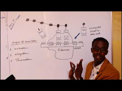 BIO FORM 4 CHAPTER 5 LESSON 3 PART 2 ABDIHAKIM MOHAMED