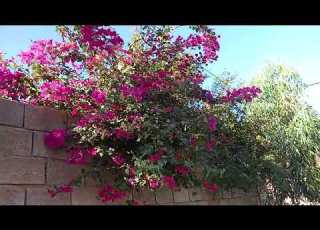  یکی از خیابانهای روستامون تلخاب بدره ایلام لایک و ساب یادتون نره
