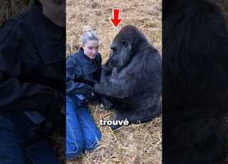 Dieses Mädchen Hat Die Beste Freundin Gefunden Shorts Gorilla