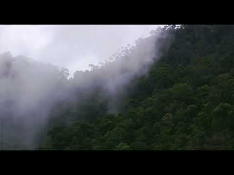 أفأمنو مكر الله تلاوة رائعة للقارئ محمد عباده