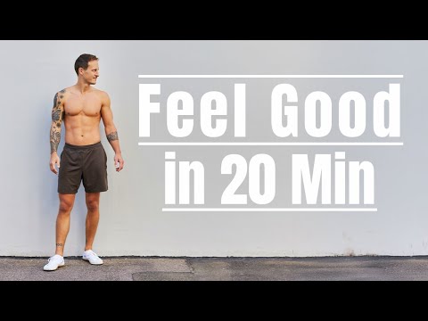 Feel Good In 20 Minutes Beginner Workout