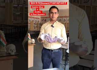  इ स न क प ट Stomach म छ ल ऐस ड ट क स और कह बनत ह Acidity Gastric Ulcer In Stomach Shorts