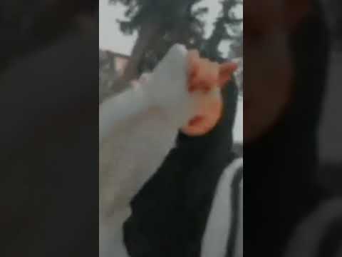 فيديوهات كانها لك ستوريات انستاغرام فيديوهات كانها لك ستوريات انستاغرام