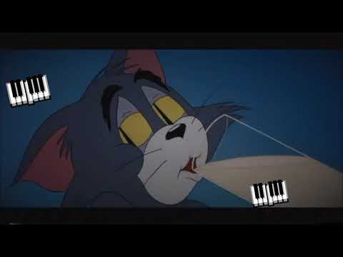 Statut Whatsaapأقوي حالات واتساب هي تزوجت و تهنات أنا دخلتها لكبريات