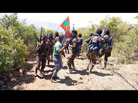 Onnataa Goota Gaafa Xiiqii Dawoo Diinaa Cabsuuf Onnataa Goota Gaafa Xiiqii Dawoo Diinaa Cabsuuf