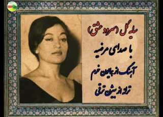  سرود عشق سایه گل مرضیه