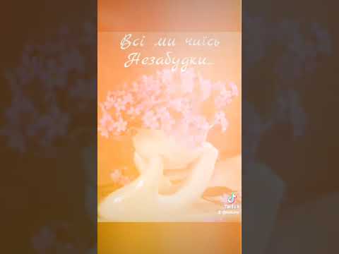 ромашки сині Всі ми чиїсь незабудки весна цінуватижиття