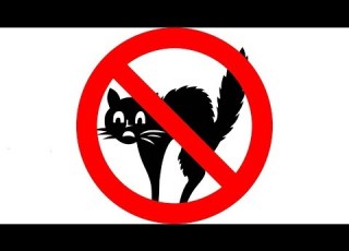 How To Get Rid Of Cats Ultrasonic Cat Deterrent Cat Ultrasonic Repellent 12 Hours