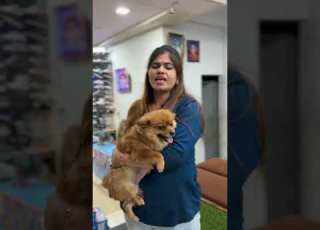 ज न न क ज त Funny Comedyforever Shortvideos Comedy Shorts