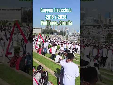 Irreecha Oromia Hora Finfinnee Bara 2018 2025