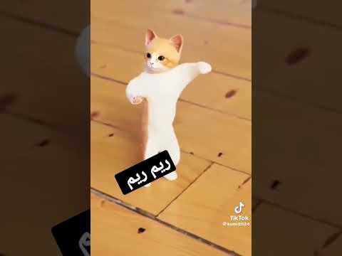 ريم ريم ريم الحلوة ريم