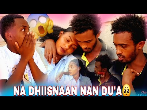 BORIIFAN GALANADHAA SIDHABNANA OFIS NAN DHABA JETTE