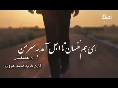 ای هم نفسان تا اجل آمد به سر من