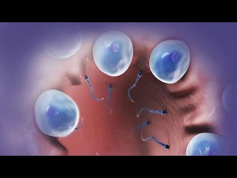 MWANAMME KUTOA SHAHAWA ZENYE DAMU 255655523211