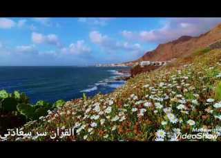 اجمل دعاء الصباح صباح معطر بذكر الله