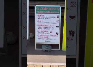 ブルマってどんな存在 これが風紀違反なら過去の体育の時代女の子はみんなブルマはいてました ブルマ 風紀 風紀違反 体育 運動会 ギャップ なんでだろう 不思議 なぜ
