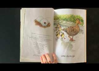 Little Ducks Go By Emily Arnold McCully AR Level 0 9 Quiz 166014