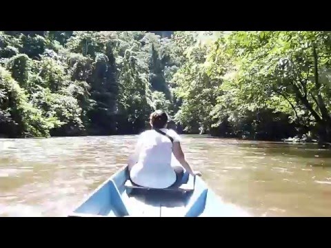 Boat Trip At Mulu River In Borneo 2013