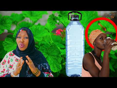 Rinda Imyanya Yawe Yibanga Ibi Bibazo Ukoresheje Ubu Buryo Uzaryoherwa Unaryohe Mugitanda