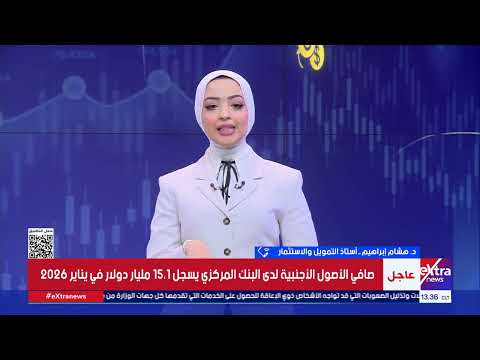 أستاذ التمويل الاقتصاد المصري أكثر مرونة والصادرات والتحويلات دعمت استقرار الجنيه أستاذ التمويل الاقتصاد المصري أكثر مرونة والصادرات والتحويلات دعمت استقرار الجنيه