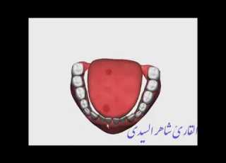  مخرج حرف الهمزة ثلاثي الأبعاد