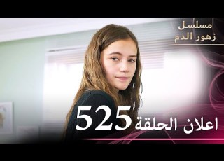  اعلان الحلقة 525 مسلسل زهور الدم مدبلج بالعربية Kan Çiçekleri الجزء الثالث